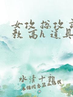 女攻 总攻 调教 高h 道具