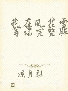 我在风花雪月里等你完整版