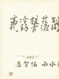 高冷校花别追了我的青涩同桌小说