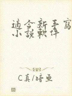 适合新手写作的小说软件