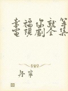 幸福你就等等我电视剧全集免费观看