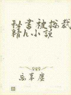 秘书被总裁灌浓精h小说