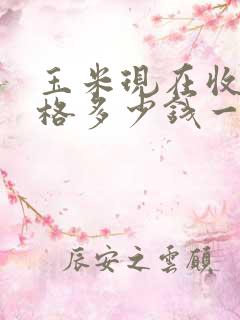 玉米现在收购价格多少钱一斤