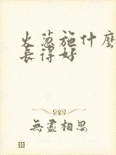 火葱施什么肥料长得好
