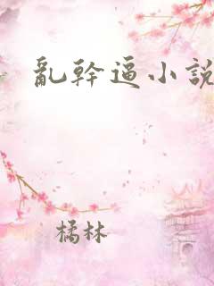 乱干逼小说