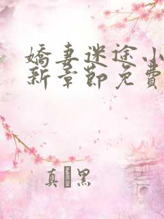 娇妻迷途小说最新章节免费阅读