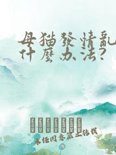 母猫发情乱尿有什么办法?