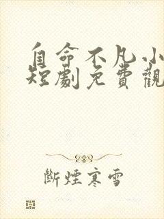 自命不凡小女婿短剧免费观看全集