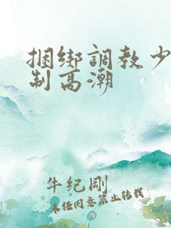 捆绑调教少妇强制高潮