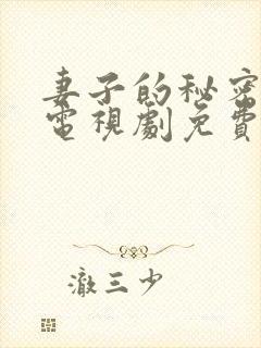 妻子的秘密韩剧电视剧免费观看