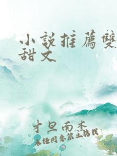 小说推荐双男主甜文