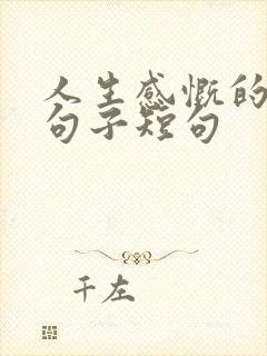人生感慨的经典句子短句