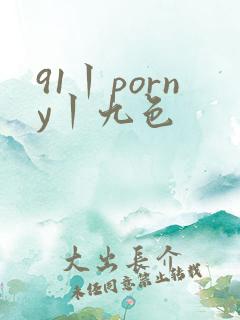 91丨porny丨九色