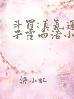 斗罗:真气运之子霍雨浩小说