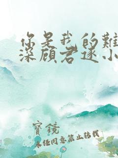 你是我的难得情深顾君逐小说