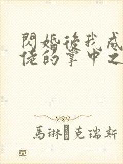 闪婚后我成了大佬的掌中之物40