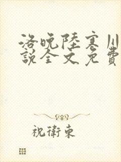洛晚陆寒川的小说全文免费无弹窗