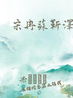 宋冉苏靳泽小说