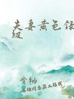 夫妻黄色录像一级