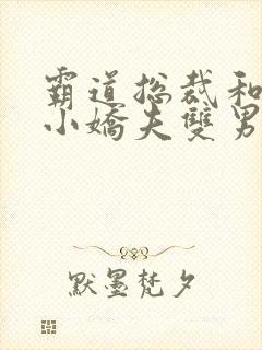 霸道总裁和他的小娇夫双男主