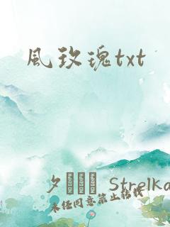 风玫瑰txt