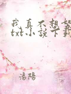 我真不想努力了txt小说下载