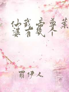 仙武帝尊叶辰老婆有几个
