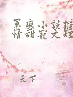 军恋小说推荐言情甜宠文短篇小说