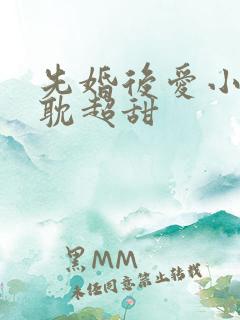 先婚后爱小说原耽超甜