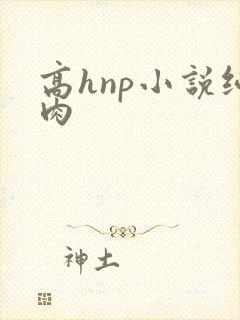 高hnp小说纯肉