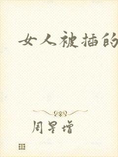女人被插的小说