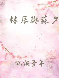林辰与苏夕然