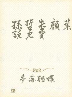孙哲朱颜叶巧小说免费