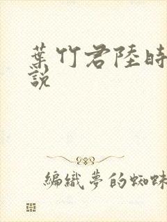 叶竹君陆时琛小说