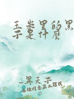 玉米里的黑色虫子是什么