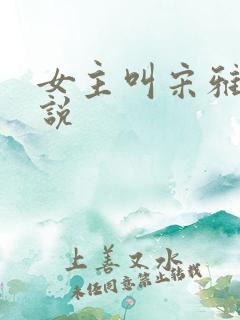 女主叫宋雅的小说