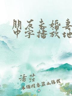 朋友未婚妻hd中字播放地址