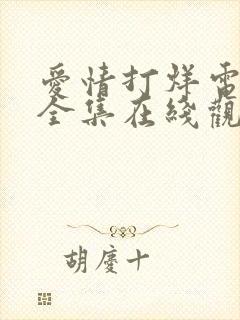 爱情打烊电视剧全集在线观看免费