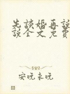 先谈婚再说爱小说全文免费阅读