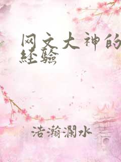 网文大神的写作经验