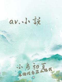 av.小说