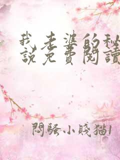 我老婆的秘密小说免费阅读