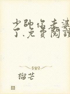 少帅你老婆又跑了.免费阅读