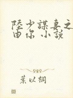陆少谋妻之婚不由你 小说