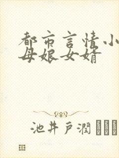都市言情小说丈母娘女婿