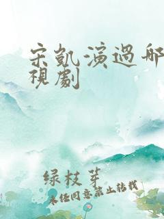 宋凯演过哪些电视剧