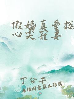 假婚真爱总裁的心尖宠妻