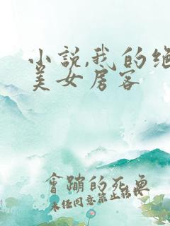 小说,我的绝色美女房客