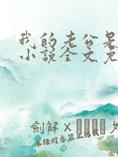 我的老公是大佬小说全文免费阅读