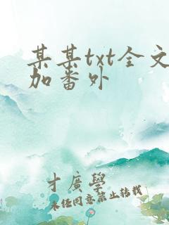某某txt全文加番外